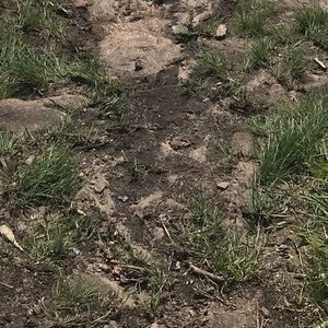 Meet your Posher, Cameron